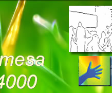 mesa �X�C�X�����W���[�@SR-4000�@���{�N���r�X